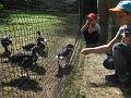 Zoo Cottbus 060